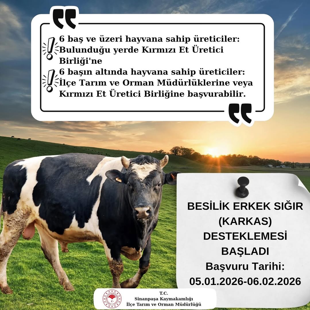 2025 Besilik Erkek Sığır (Karkas) Desteği Başvuru Süreci Başladı