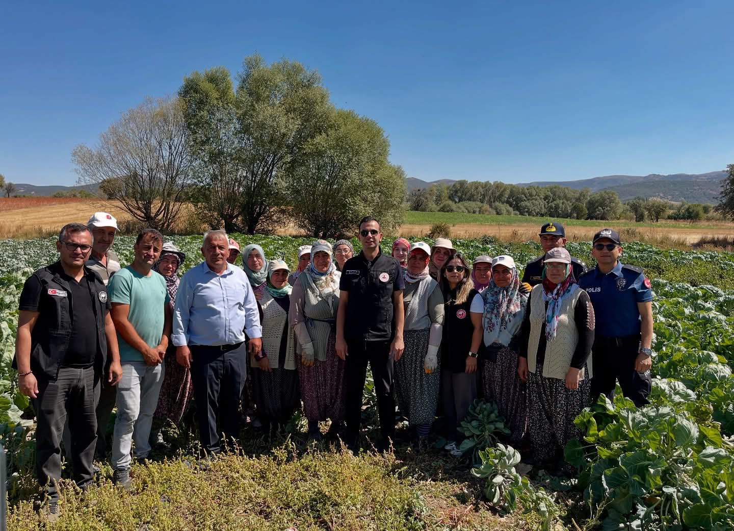 Valİ Yiğitbaşı’nın talimatıyla ilk Brüksel Lahanası Hasadı yapıldı