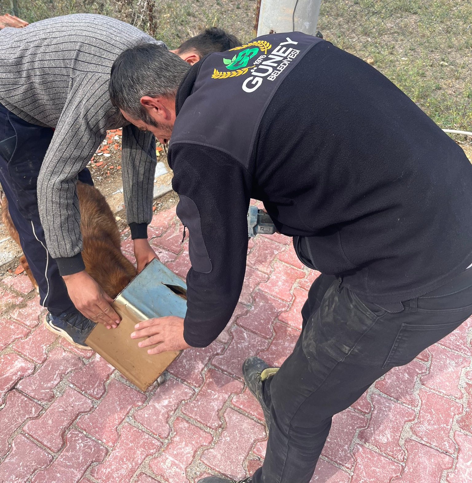 Güney Belediyesi Ekiplerinden Duyarlılık Örneği: Minik Dost Kurtarıldı!