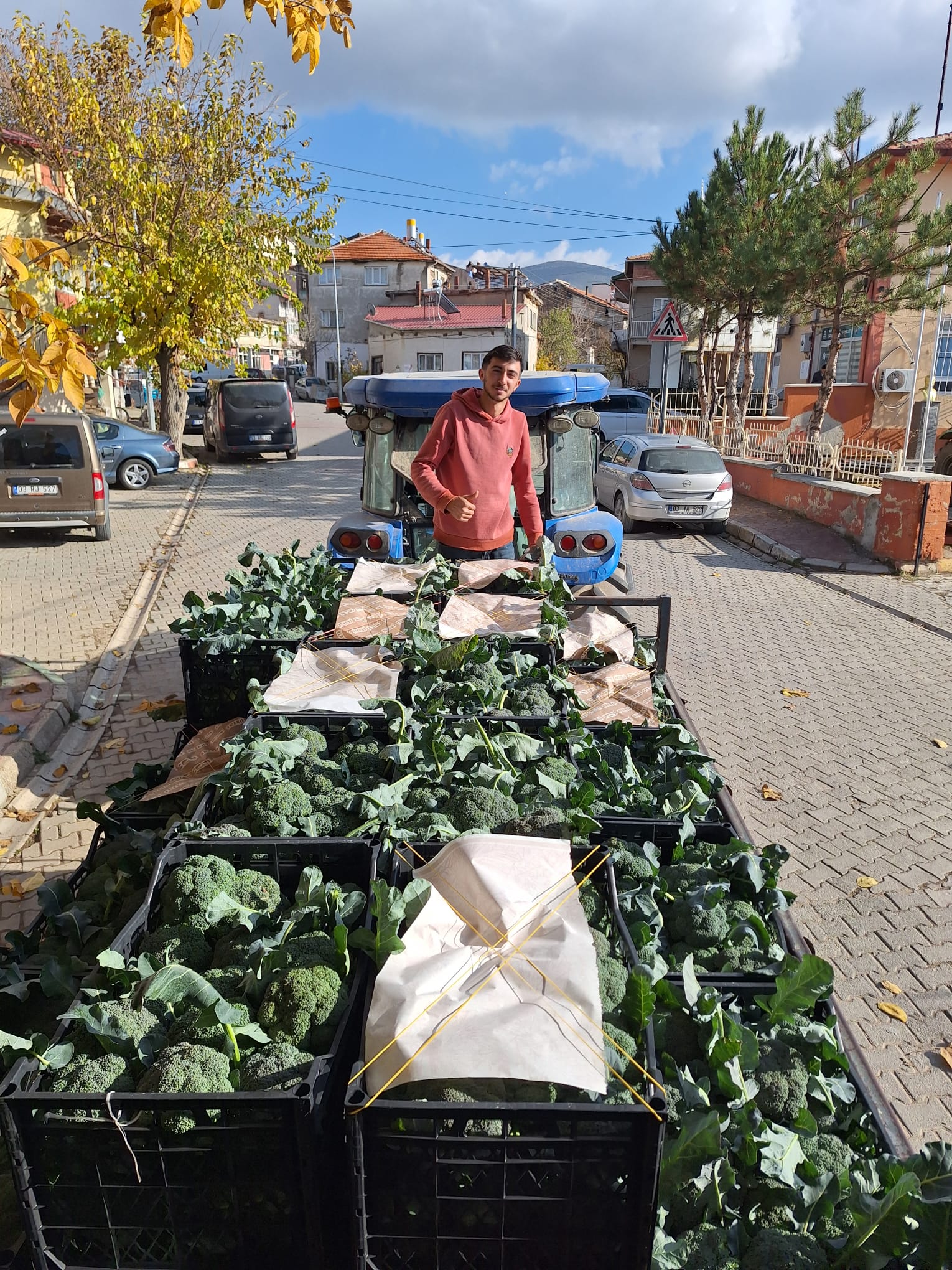 TAŞOLUK’TA BROKOLİ HASADI BAŞLADI, ÜRETİCİLERDEN KİL MADENİ TEPKİSİ