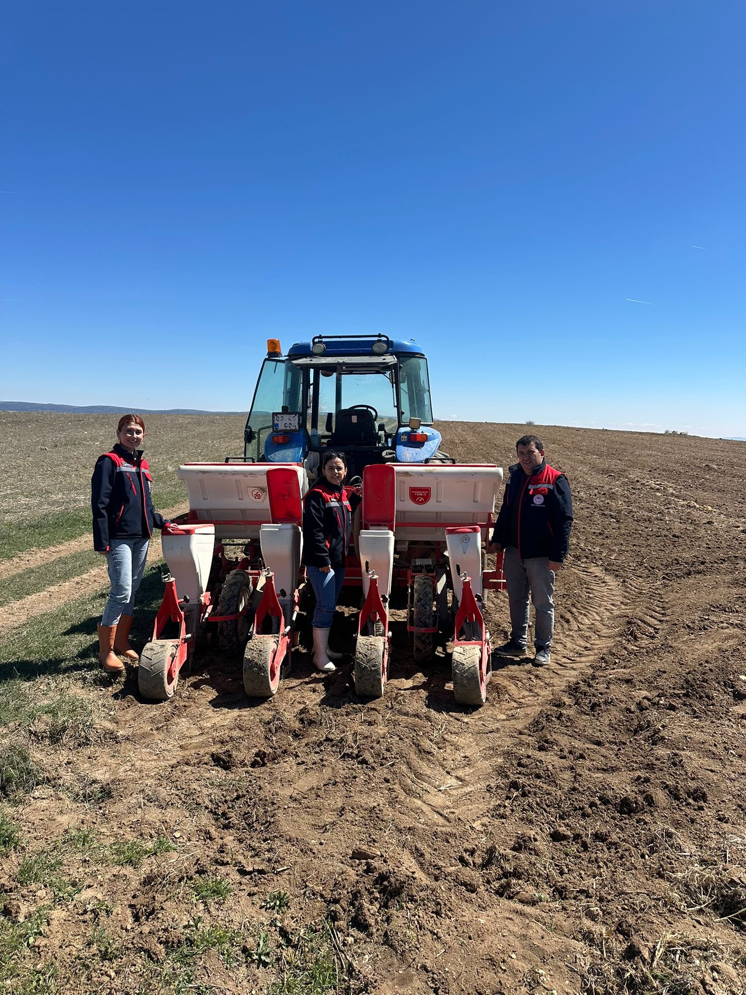 Sinanpaşa’nın Bereketli Toprakları Sarıya Boyanıyor