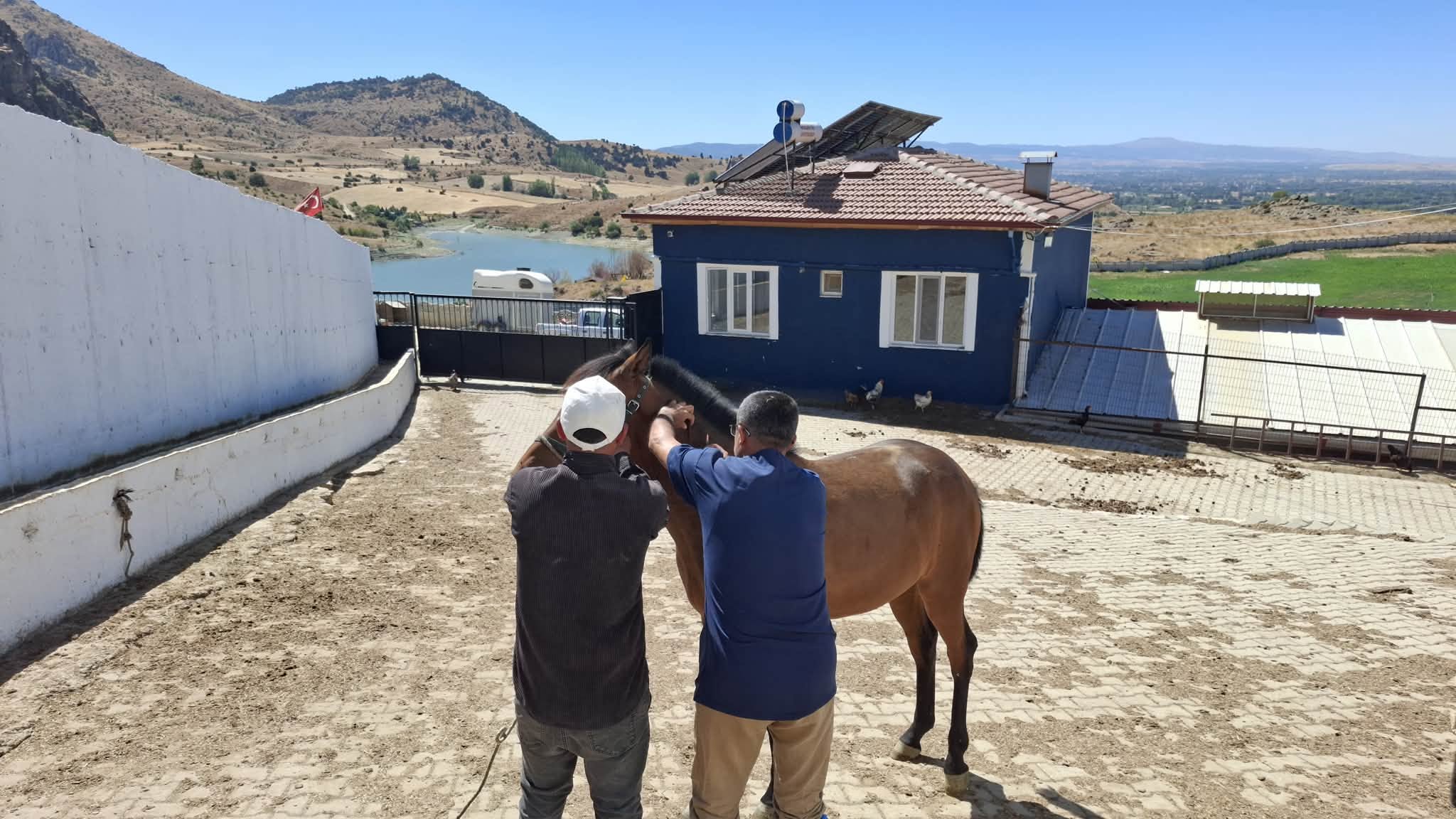 ATLARDA KİMLİKLENDİRME VE RUAM HASTALIĞI KONTROLLERİ