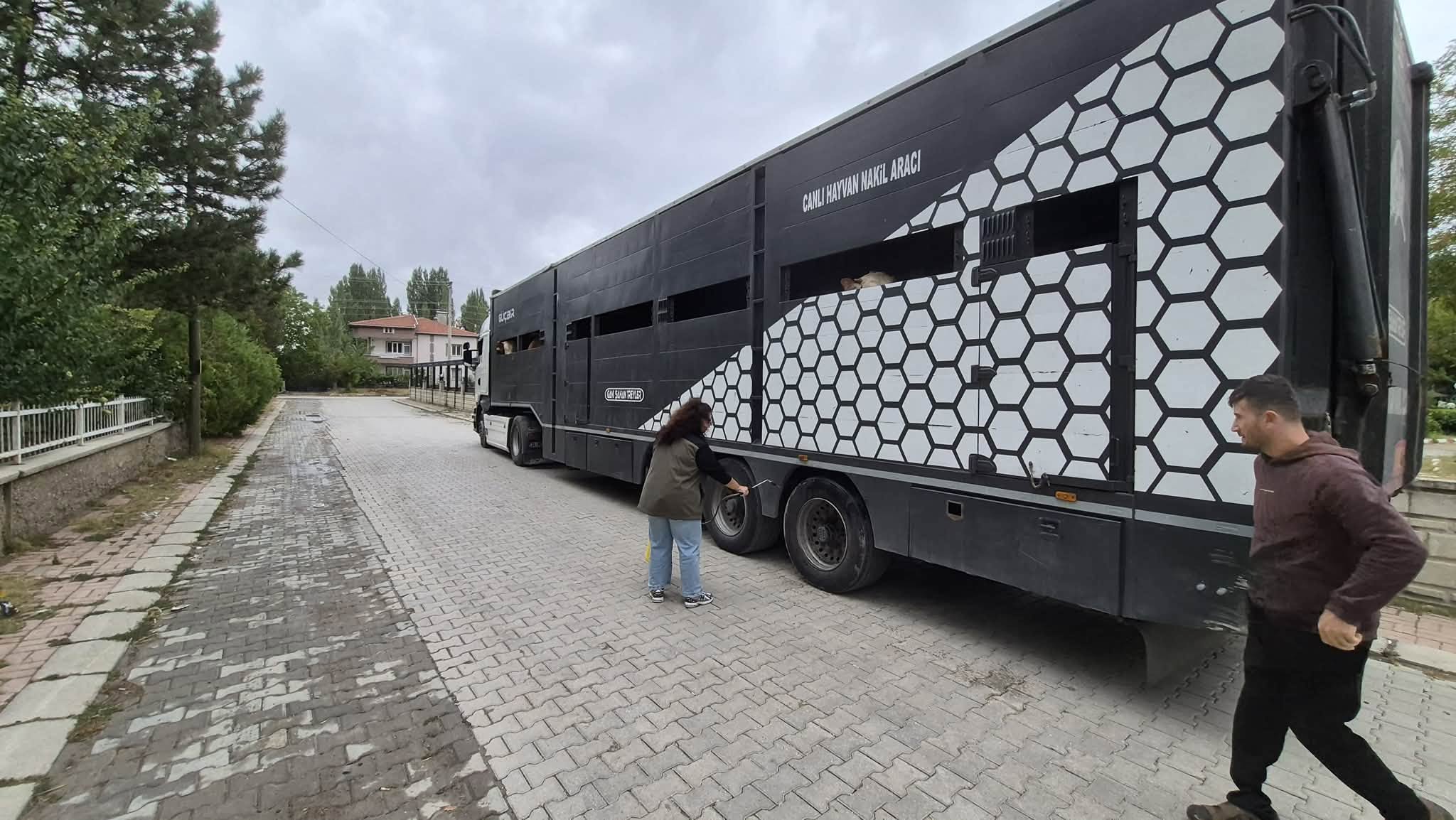 HAYVAN SEVKLERİ VETERİNER HEKİMLER TARAFINDAN DENETLENİYOR